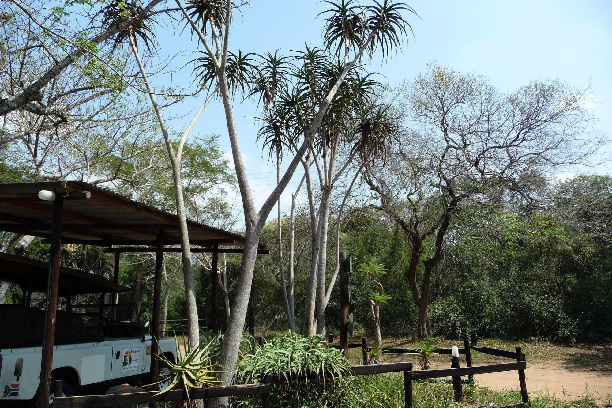 Isinkwe Backpackers Bushcamp Hotel Hluhluwe Exterior photo